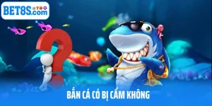 Bắn Cá Có Bị Cấm Không? Giải Mã Sự Thật Khiến Bạn Bất Ngờ