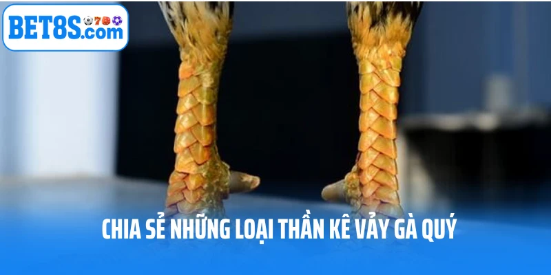 Chia sẻ những loại thần kê vảy gà quý