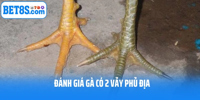 Chuyên gia nhận định, đánh giá về game gà có 2 vảy phủ địa