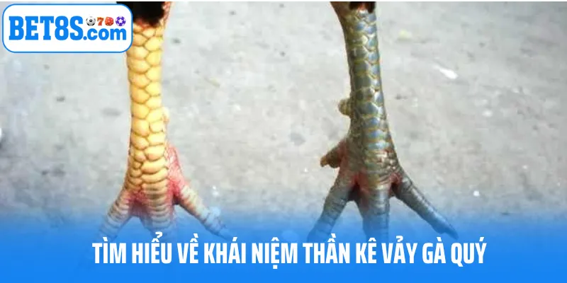 Tìm hiểu về khái niệm thần kê vảy gà quý