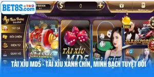 Tài Xỉu Md5 - Tài Xỉu Xanh Chín, Minh Bạch Tuyệt Đối