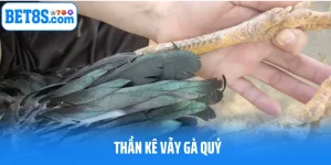 Thần Kê Vảy Gà Quý - Dấu Hiệu Tìm Kiếm Linh Kê Xuất Sắc